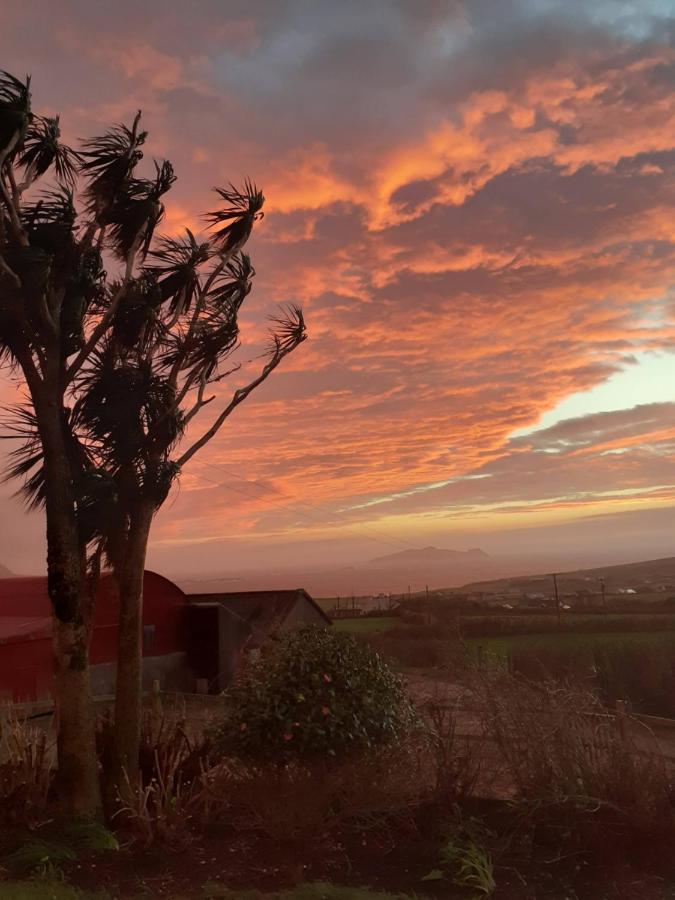 Gleann Loic Farmhouse Villa Dingle Dış mekan fotoğraf