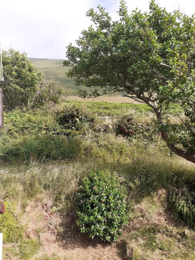 Gleann Loic Farmhouse Villa Dingle Dış mekan fotoğraf