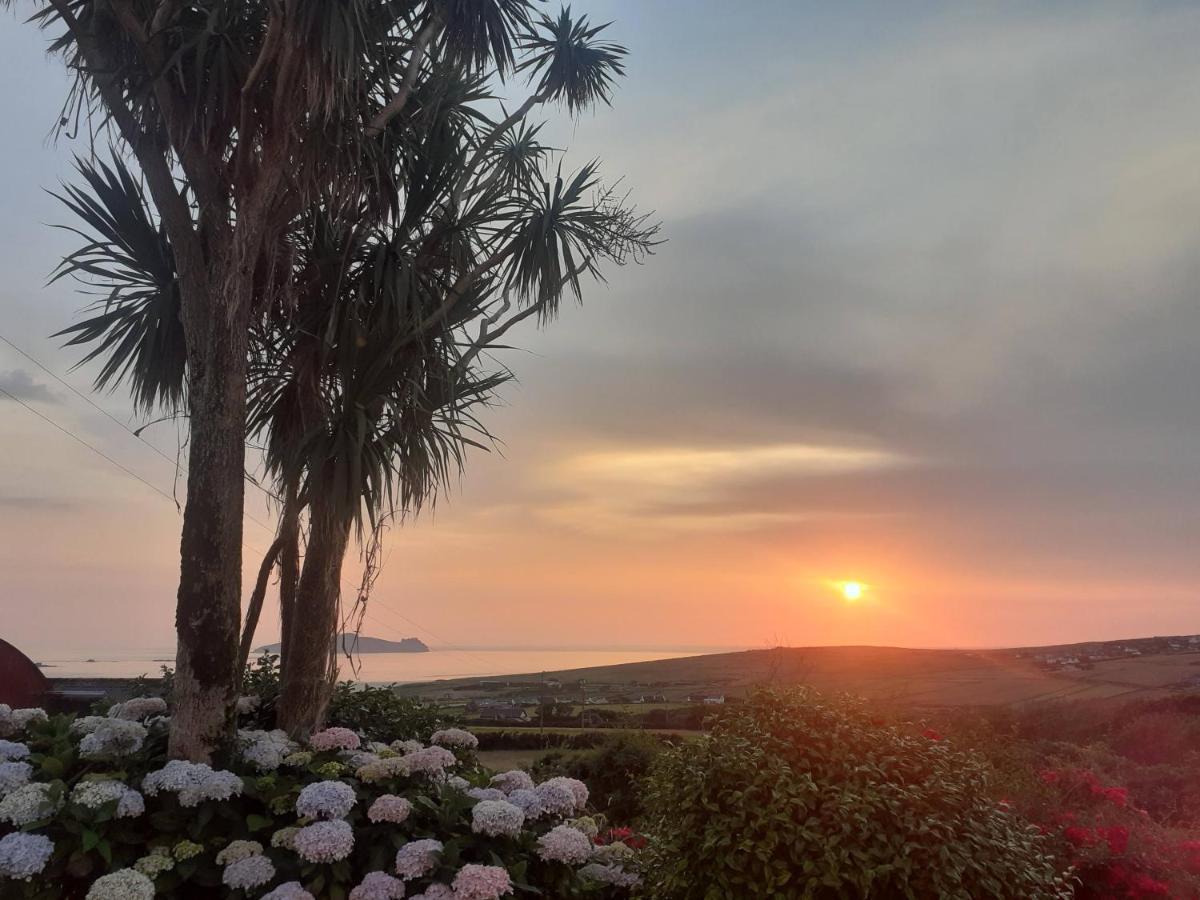 Gleann Loic Farmhouse Villa Dingle Dış mekan fotoğraf