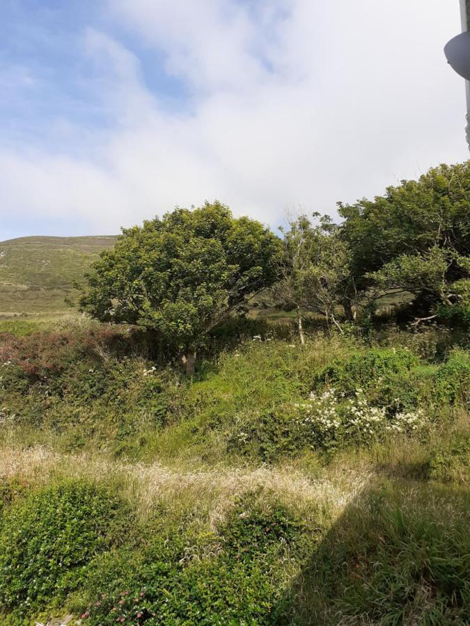 Gleann Loic Farmhouse Villa Dingle Dış mekan fotoğraf