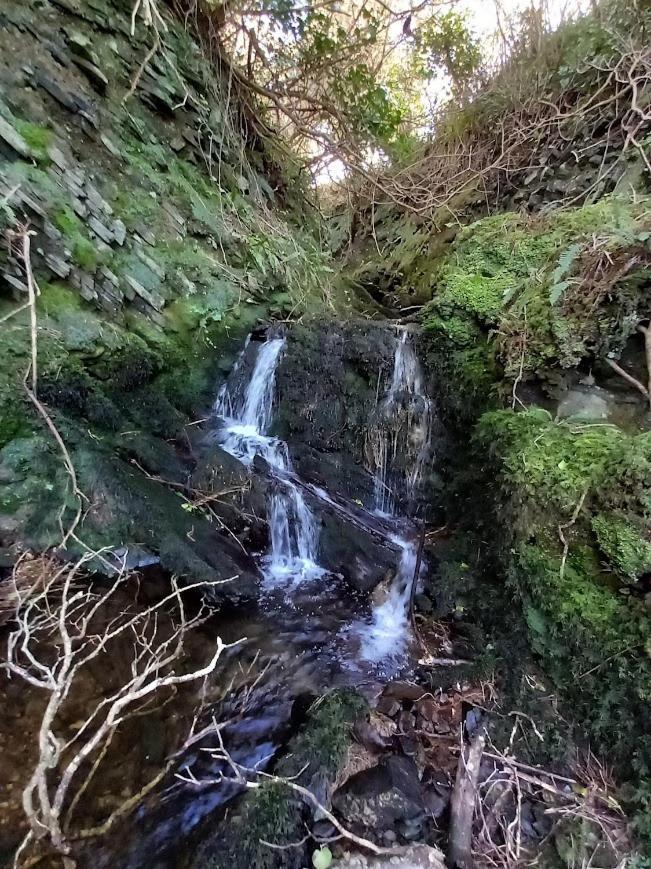 Gleann Loic Farmhouse Villa Dingle Dış mekan fotoğraf