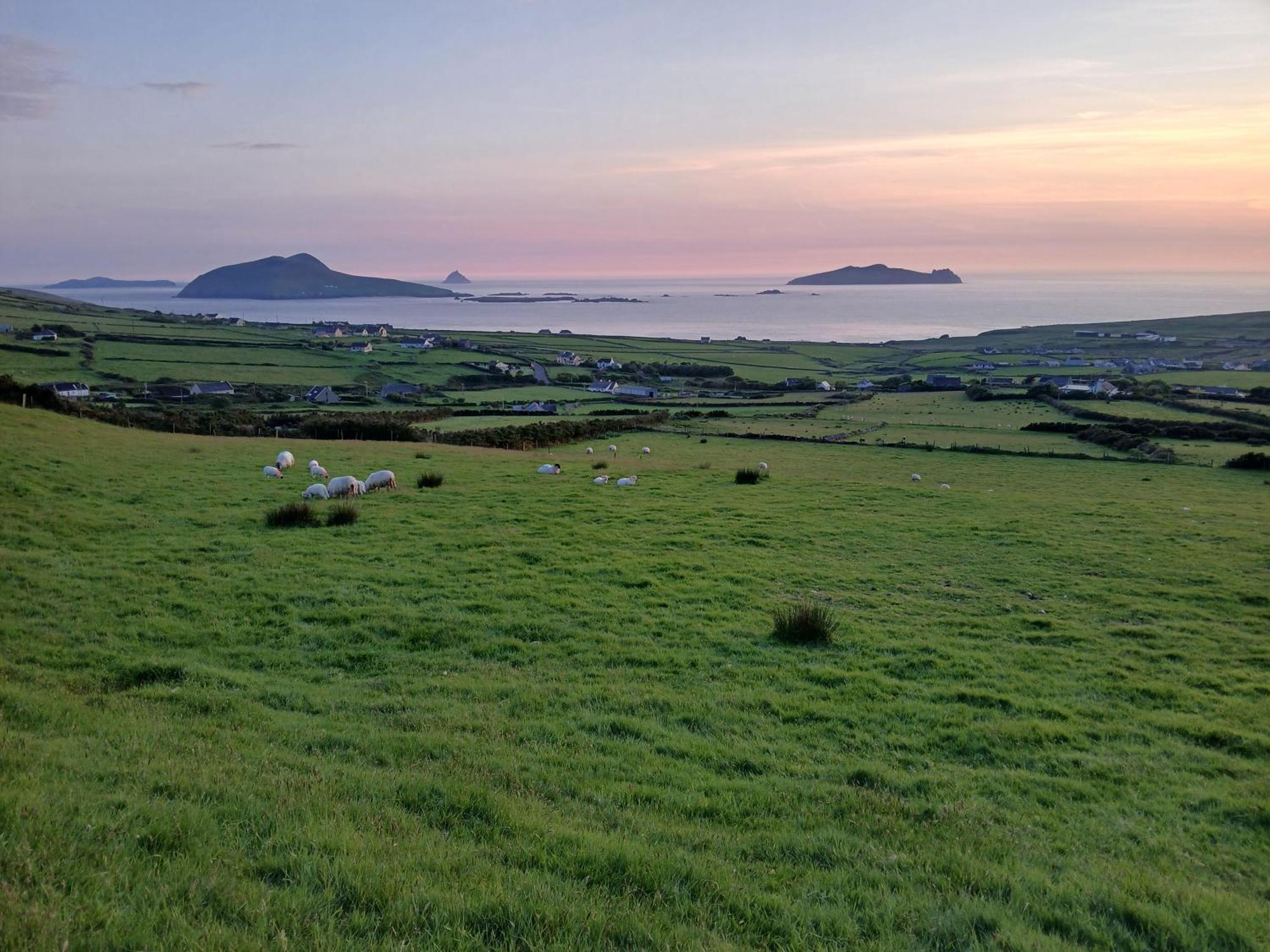 Gleann Loic Farmhouse Villa Dingle Dış mekan fotoğraf